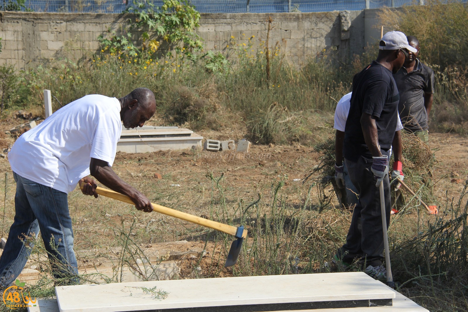 tasoo tandefet (78).jpg